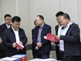 省政府国资委党委对集团公司2020年度党建责任制落实情况进行考评